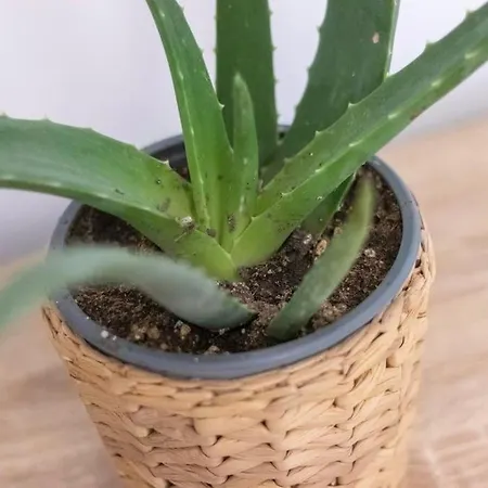 Piso En El Corazon De Daire