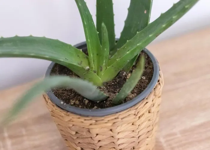 Piso En El Corazon De 아파트